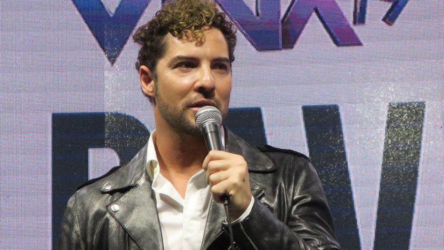 David Bisbal y Rosanna Zanetti anuncian que ya son padres