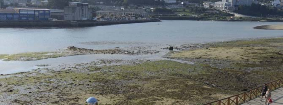 Los mariscadores regresan hoy a la ría después de tres semanas sin faenar a causa de la toxina