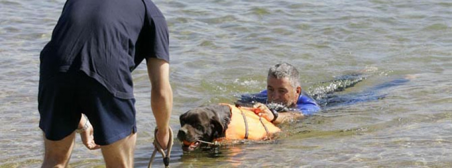 Oza acoge un simulacro de socorrismo con perros