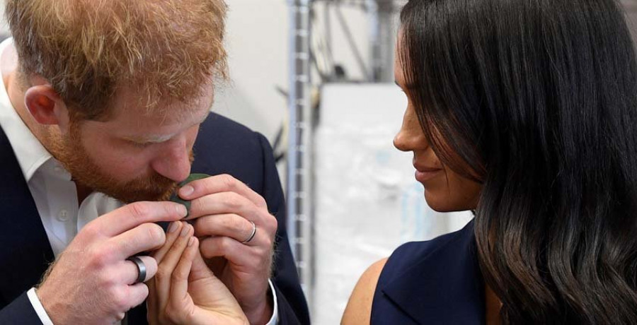 Enrique y Meghan degustan carne de canguro en su visita a Australia