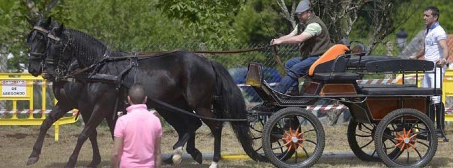 Abegondo se rinde a la elegancia del caballo