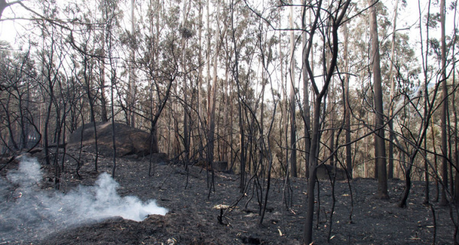 Las comparecencias en la comisión sobre los incendios empezarán en enero