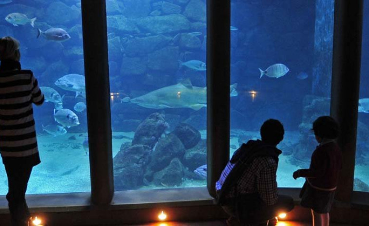 Vuelven las noches para dormir con tiburones en A Coruña