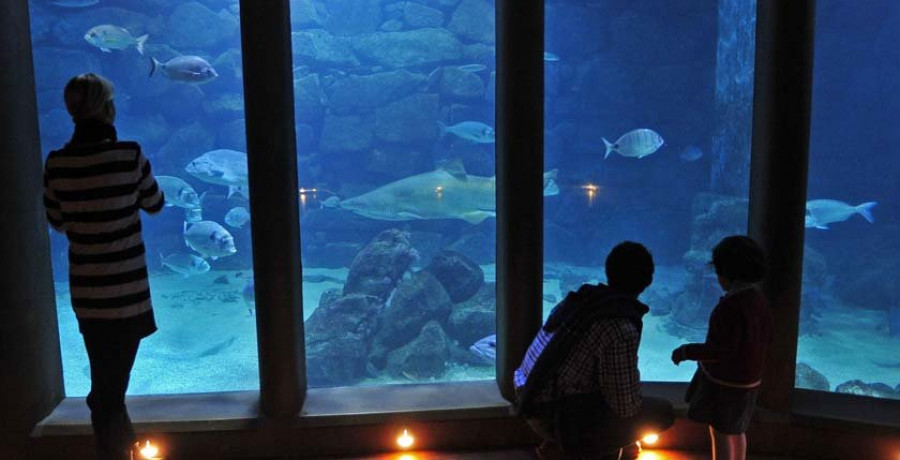 Vuelven las noches para dormir con tiburones en A Coruña