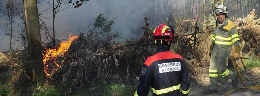 Un incendio forestal en Feáns obliga a los bomberos a intervenir durante una hora