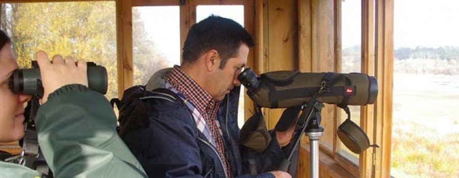 El gobierno local mejora las prestaciones del observatorio de aves de Abegondo