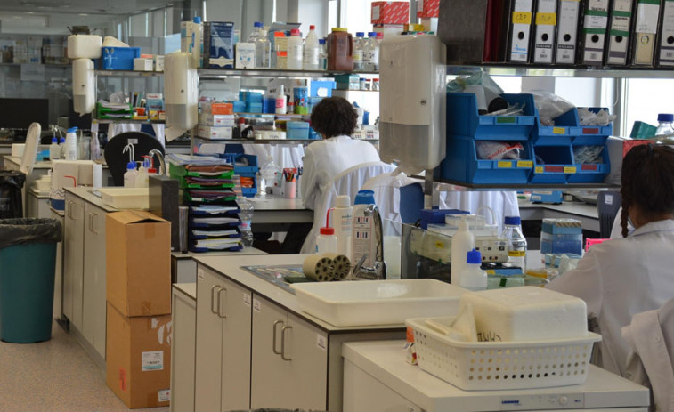 El grupo de investigación Inibic desarrolla un tejido de cartílago  nuevo para combatir la artrosis