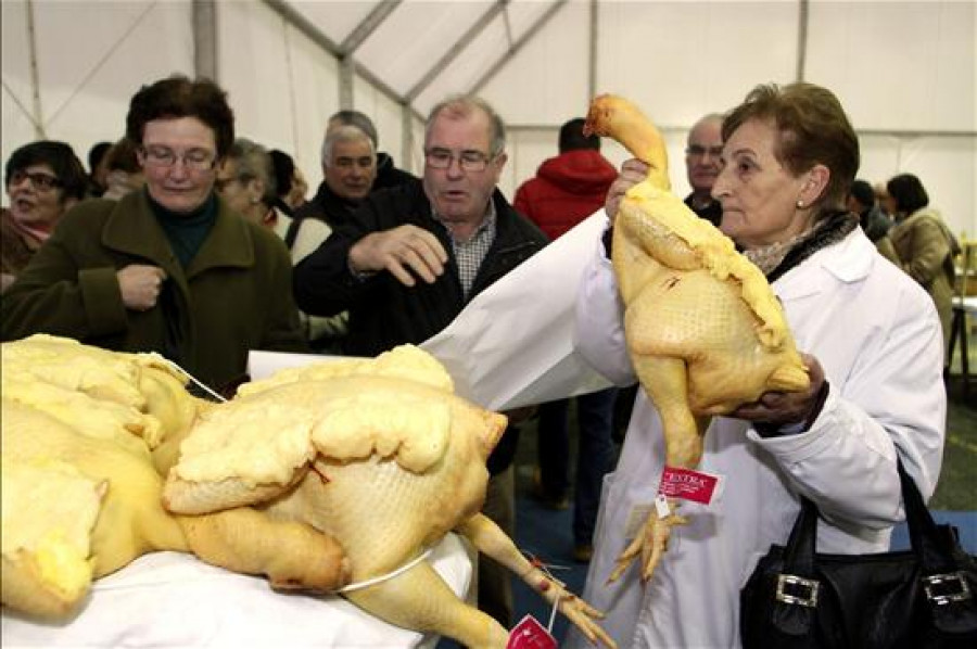 Los capones de Vilalba se vendieron entre 80 y 120 euros en su feria