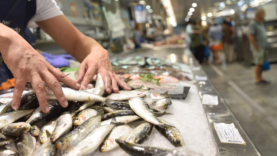 Los armadores coruñeses rechazan el cierre de la pesquería de la sardina