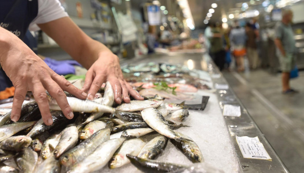 Los armadores coruñeses rechazan el cierre de la pesquería de la sardina