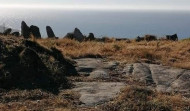 La Xunta autoriza el proyecto de traslado y recolocación de los petroglifos de Nostián