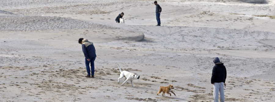 El Gobierno local legalizará la suelta de perros en los arenales de la ciudad