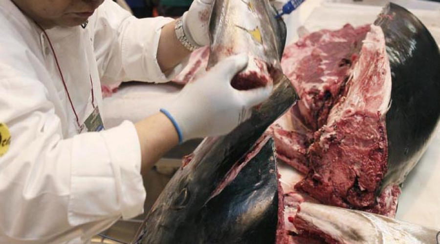 Nueva alerta: Brote de intoxicación alimentaria en una lata de atún distribuida por DIA