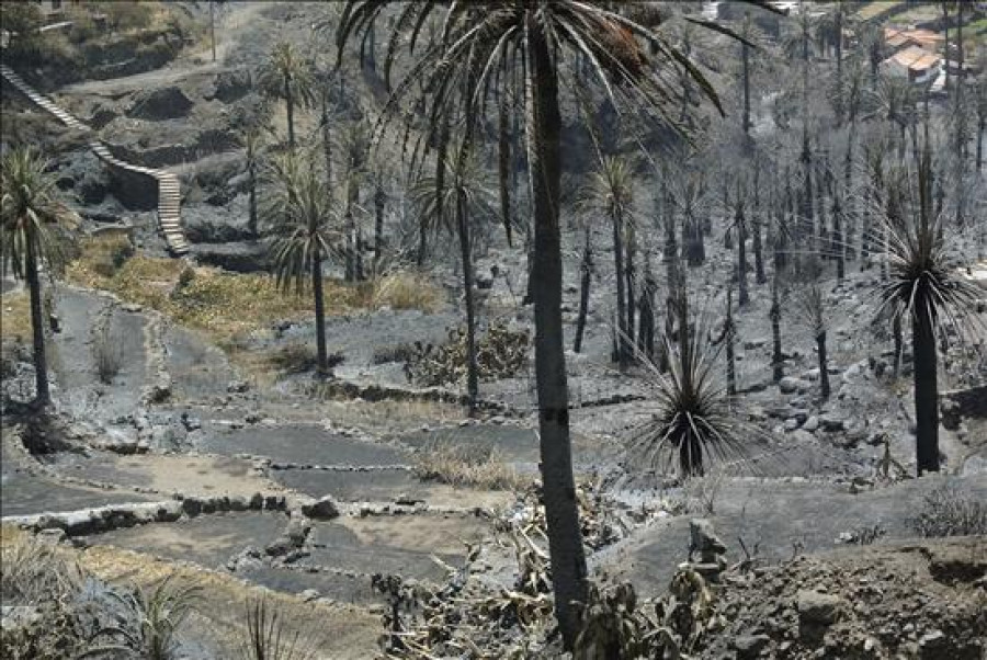 Los daños del incendio de La Gomera superan los 11 millones solo en Gran Rey