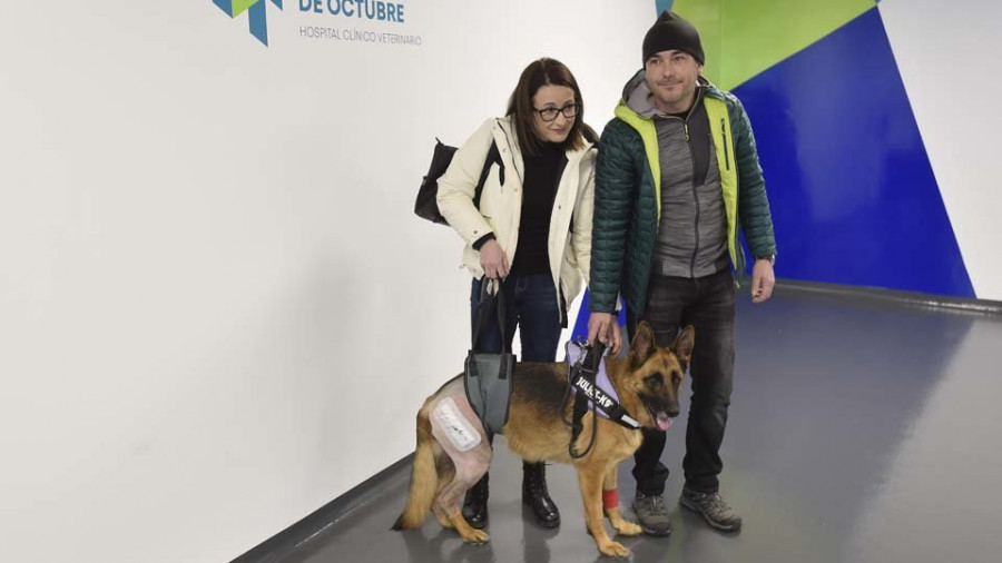 Una pata “biónica” sitúa a Meicende en la vanguardia veterinaria