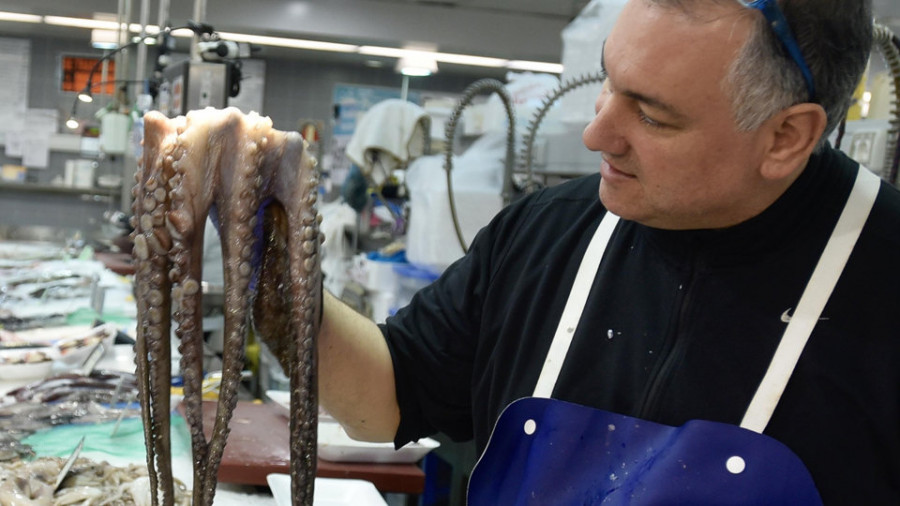 La campaña del pulpo, la nécora y el bogavante empieza más floja en la Lonja que en otros años