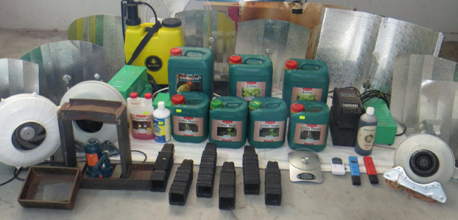La Guardia Civil interviene casi doscientas plantas de marihuana en una vivienda de Oleiros
