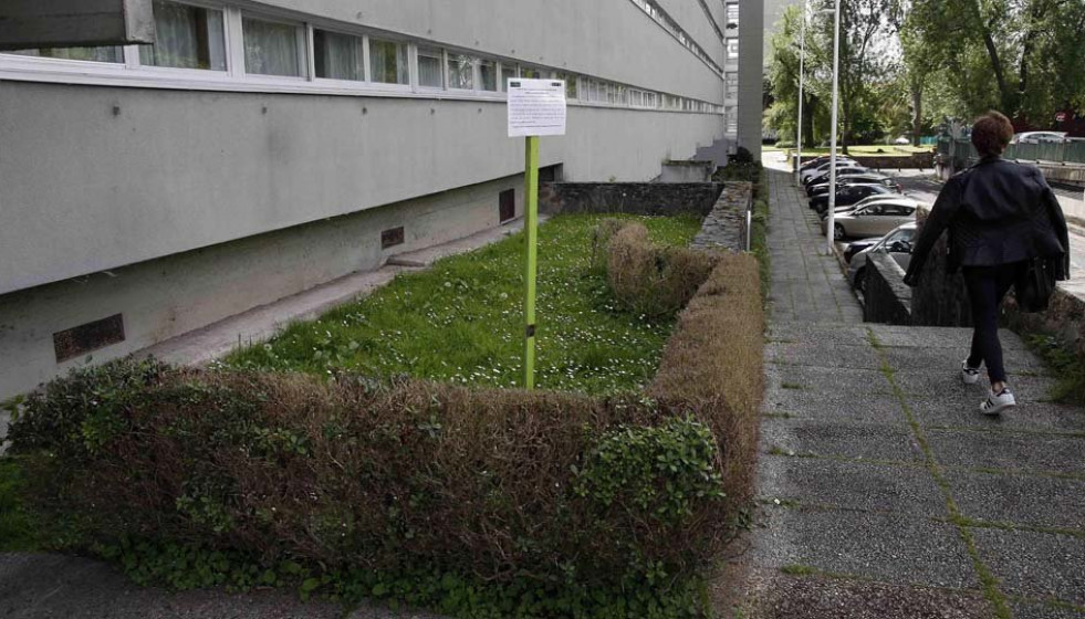 Retirarán los setos del Barrio de las Flores para eliminar la plaga de orugas