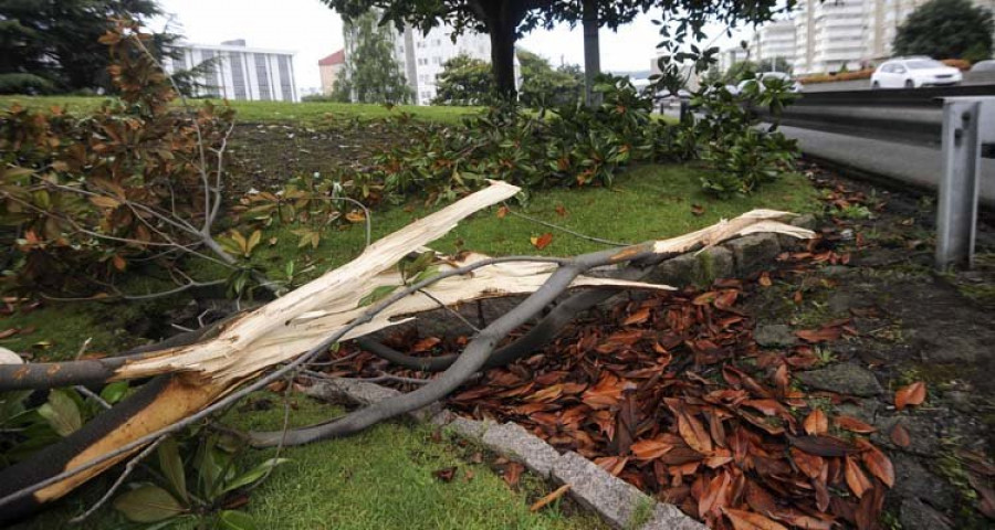 Investigan una maniobra extraña como causa del accidente mortal de Lavedra