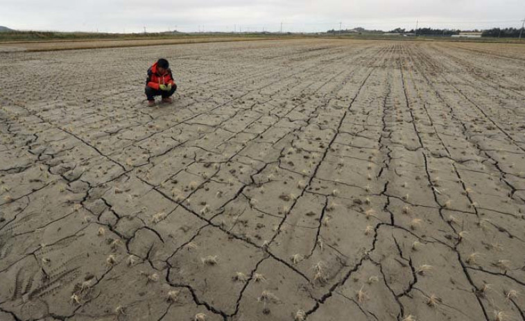 Portugal declara la situación de sequía severa y extrema en cerca del 40 % del territorio