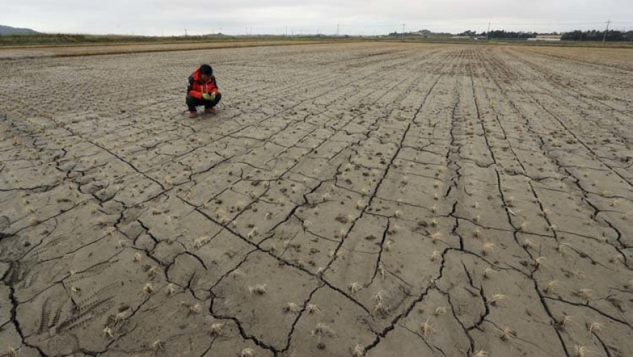 Portugal declara la situación de sequía severa y extrema en cerca del 40 % del territorio