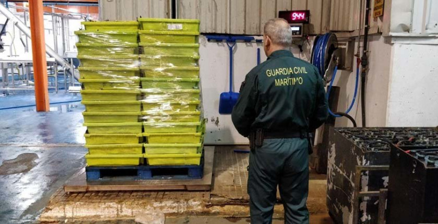 La Guardia Civil decomisa en las inmediaciones del puerto de A Coruña un pez espada de 245 kilos
