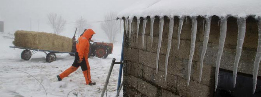 Casi 1.000 niños  de Lugo y Ourense se quedan sin clase por las nevadas