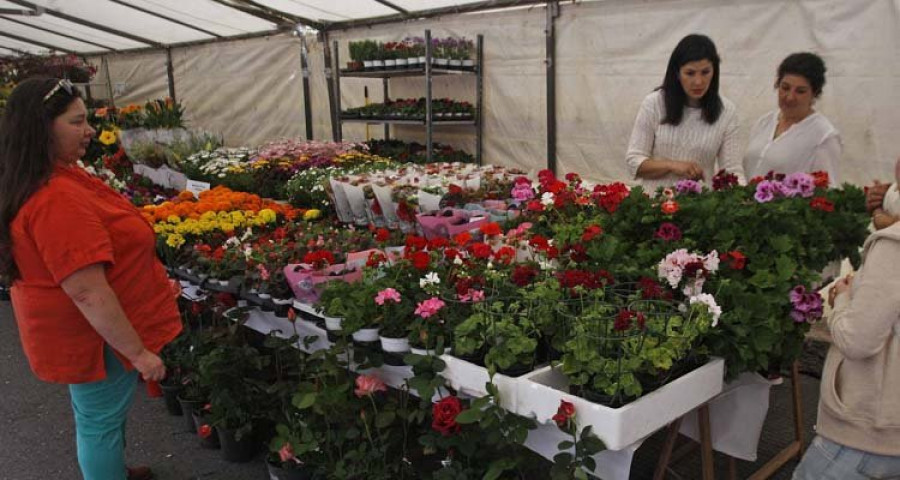El “aniversario” de la Feira das Flores de O Tres atrae a cientos de visitantes