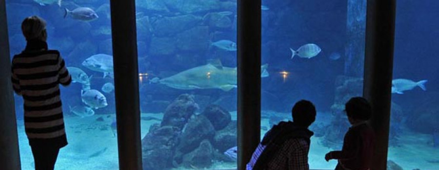 Los universitarios gallegos realizarán prácticas de Biología en el Aquarium