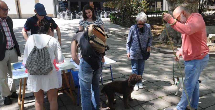 La Ciudad Vieja se vuelca con la consulta popular para decidir el futuro de la parcelas de la Maestranza