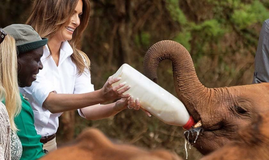 Melania Trump les da el biberón 
a los cachorros de elefante en Kenia