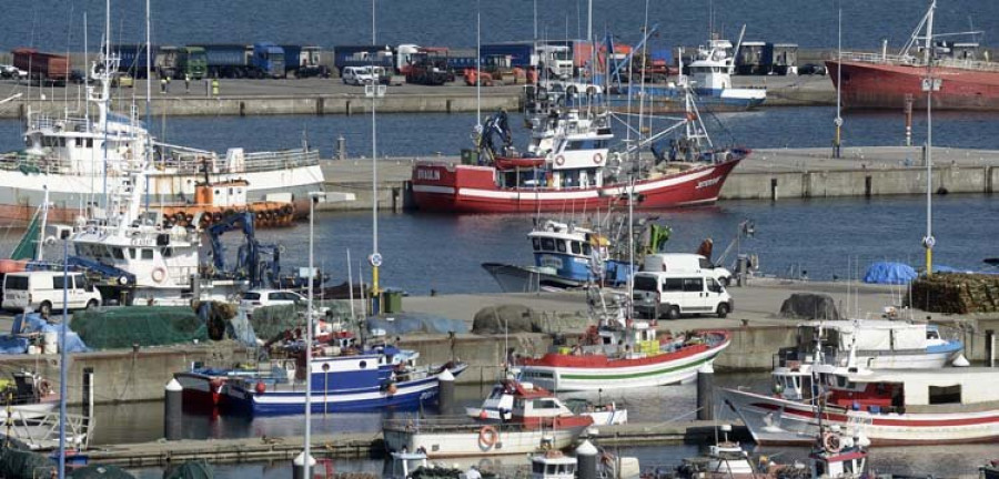 La bajura insta a las Administraciones a investigar por qué hay menos pescado en la costa coruñesa