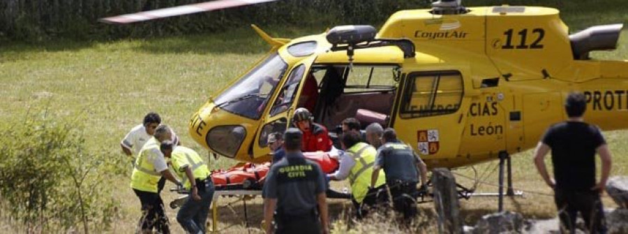 Fallecen tres guardias civiles al caer su helicóptero en un rescate en León