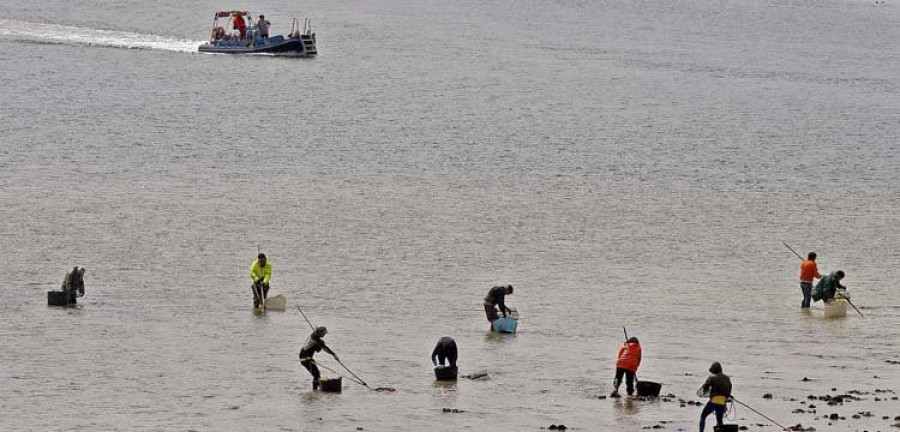 La Consellería do Mar abre la ría de O Burgo al marisqueo