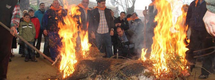 Lalín revive la matanza tradicional del cerdo a una semana de la fiesta del cocido