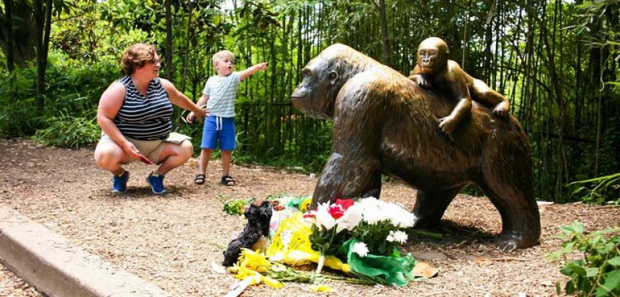 los homenajes al gorila harambe se suceden en el zoo de cincinnati