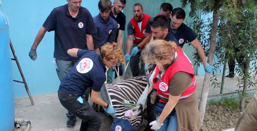 Rescatados doce animales de uno de los peores zoos de Europa