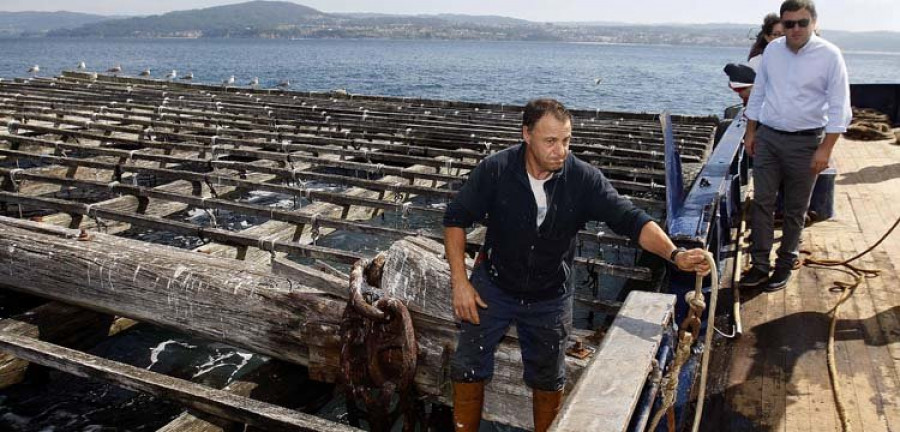 El puerto de Lorbé produce quince millones de kilos de mejillón al año