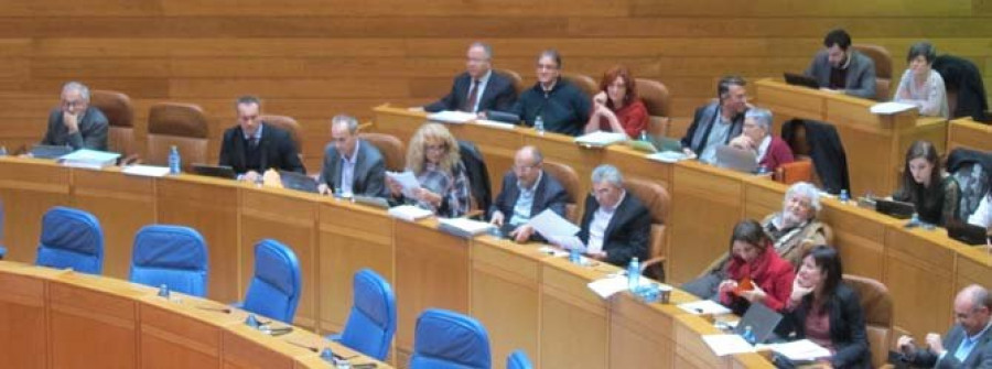 El Parlamento insta a la Xunta a que cumpla el pacto sobre la endometriosis