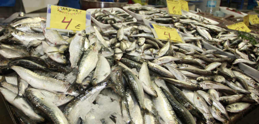 El kilo de sardinas sale a cuatro euros a dos días de la noche de San Juan