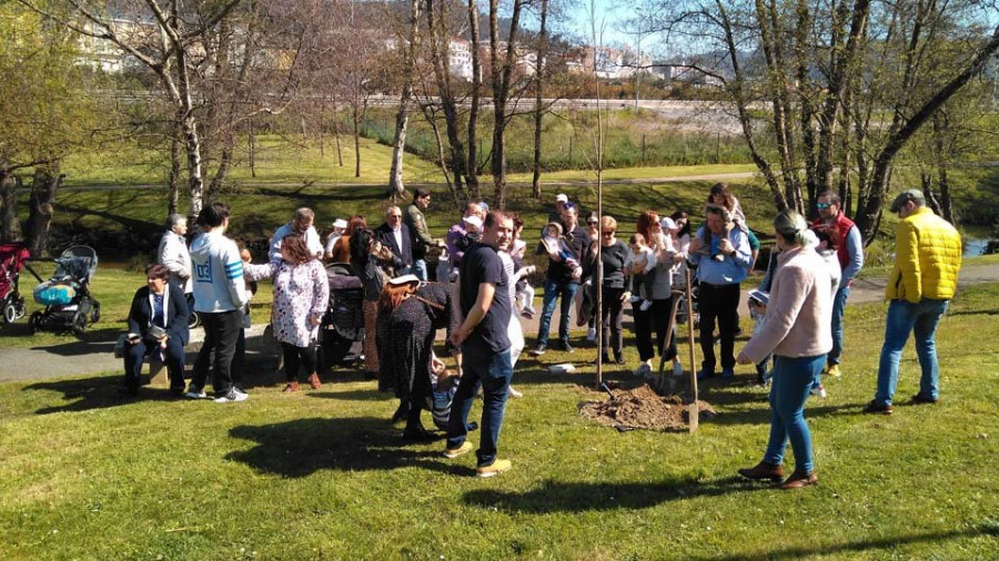 Arteixo planta árboles autóctonos en nombre de los niños nacidos en 2018