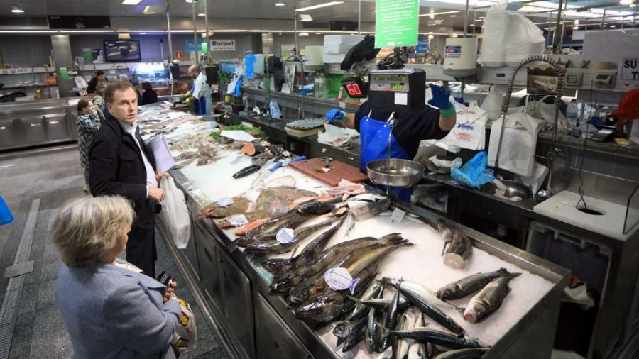 La descarga de pescado fresco creció un 48% en febrero en relación a 2018