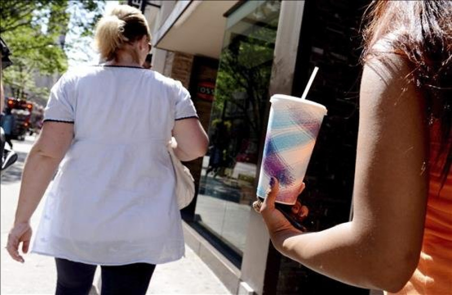 Una dieta alta en azúcar de los padres puede causar obesidad en los descendientes