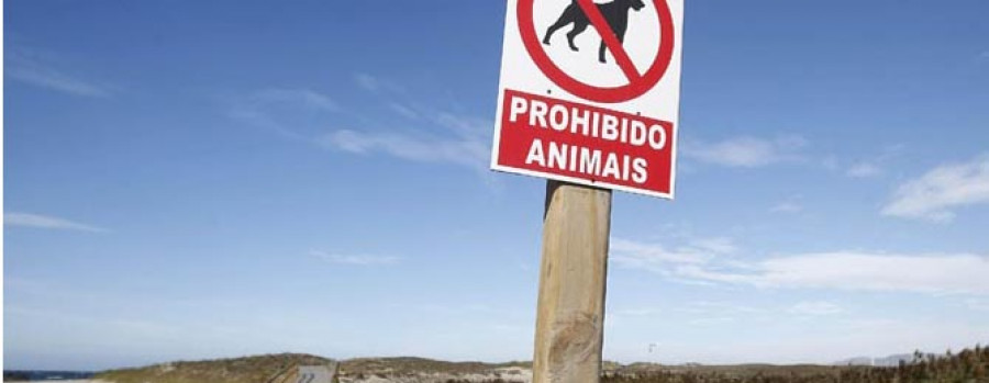 Al menos trescientos vecinos reclaman poder ir a la playa de O Reiro con perros