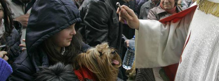 Los adultos comen y bailan, los niños juegan y los perros concursan en Celas