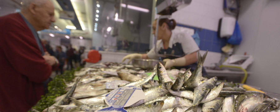 Las primeras sardinas de la temporada alcanzan los seis y siete euros por kilo en las plazas