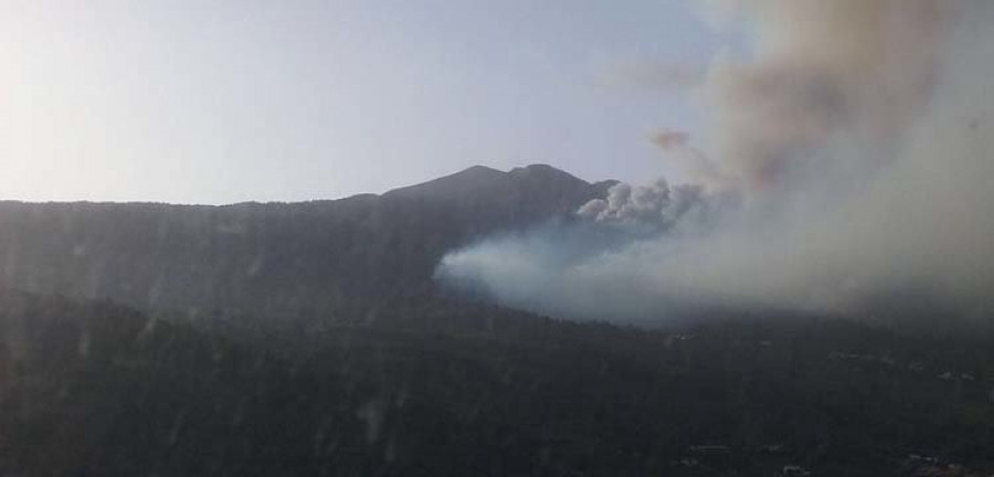 Fallece uno de los agentes forestales que trabajaba en el incendio de La Palma