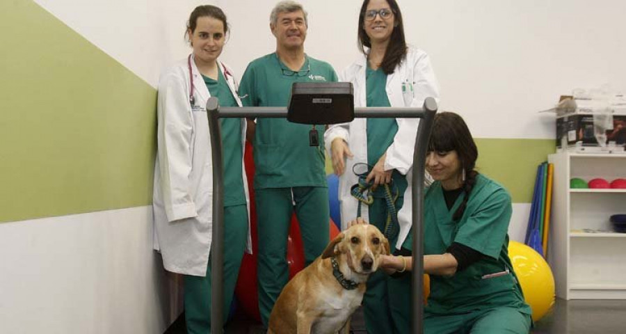 Reportaje | Primer día de ajetreo en el hospital veterinario 4 de octubre