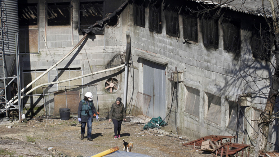 Un incendio calcina más de 10.000 pollos en una granja avícola de Meis