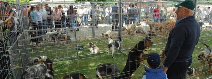 La Xunta alega contra la intención del Gobierno de obligar a esterilizar a los perros de caza